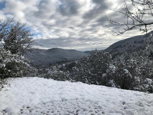 Chambre d'hôte Lavande - Le soleil des Cévennes