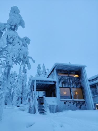 Pikkuhukka in Syote