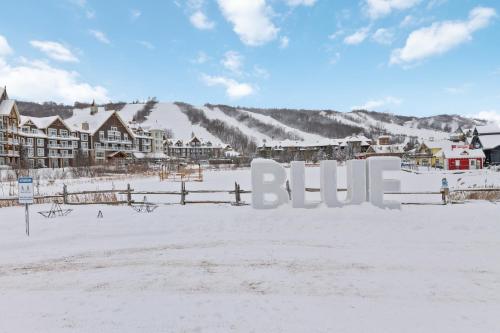 Blue Mtn Getaway in Historic Snowbridge Chalet