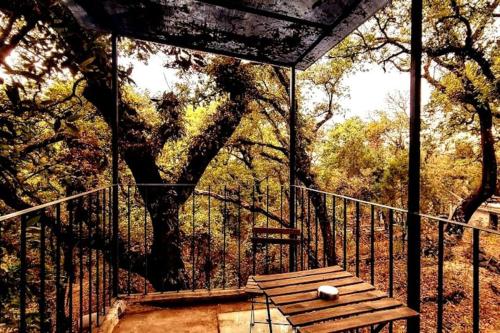 The Red Cabin at the bottom of Tepoztlán's Forest (The Red Cabin at the bottom of Tepoztlan's Forest) in ซานเปโดร