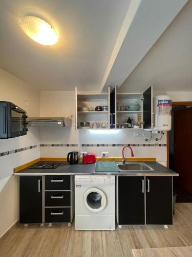 One-Bedroom Apartment image 1