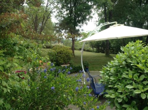 Garden, Domaine de Puycarpin in Belves-de-Castillon