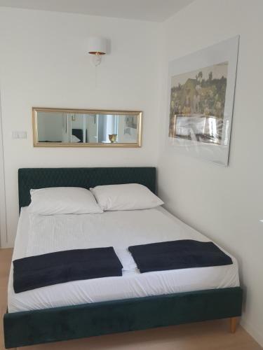 APARTAMENTY ZIELONY KAMELEON