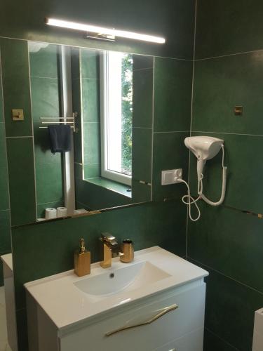 APARTAMENTY ZIELONY KAMELEON - Apartment - Busko-Zdrój