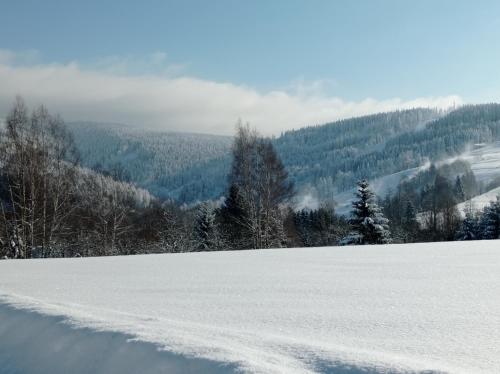 Kilátás, Ubytování u Boženky (Ubytovani u Bozenky) in Destne V Orlickych Horach
