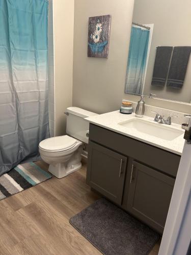 Modern Vibes 1br/1ba Oak Park IL