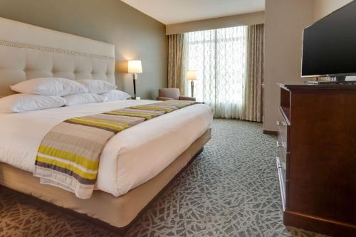 Deluxe King Suite image 2