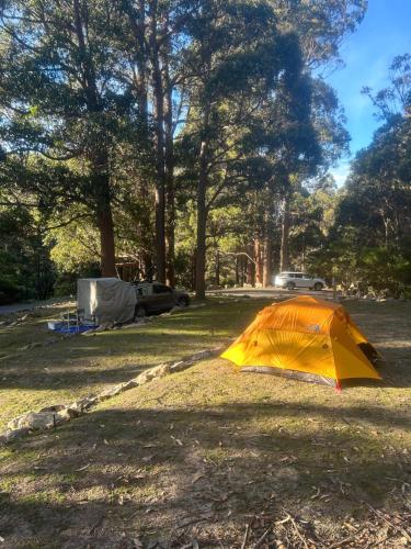 Base Camp Tasmania