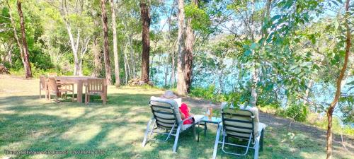 The Glade, peace among the trees on the river