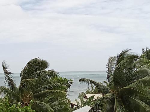 Ravehei smile relais 3 Huahine in Isla Huahine