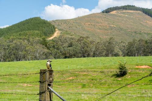 附近景點, 明亮小屋公園酒店 (Bright Cabin Park) in 明亮