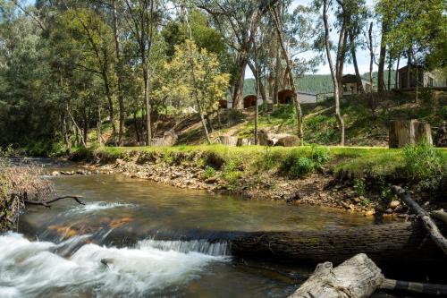 景觀, 明亮小屋公園酒店 (Bright Cabin Park) in 明亮