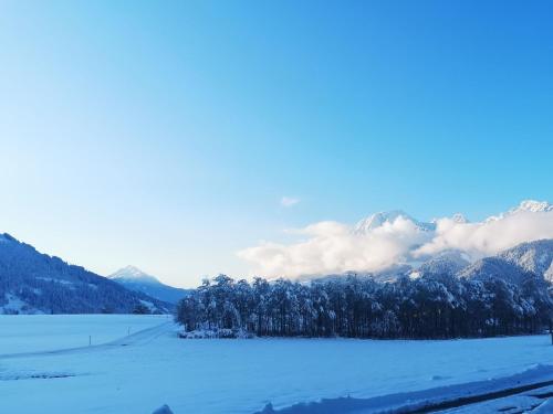 Lovely Apartment in Saalfelden directly on the farm