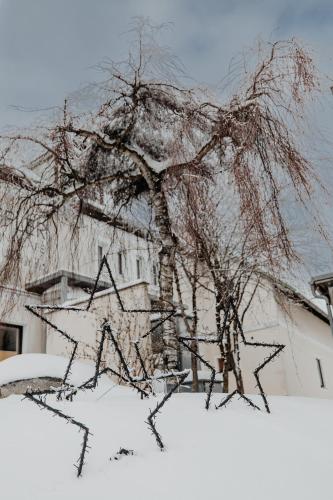 Der Löffler am Semmering Bed&Breakfast