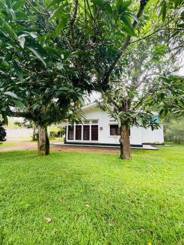 Tamarind moon guest stay