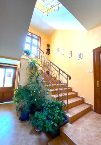 ทัศนียภาพภายนอกโรงแรม, Holičák (Holicak) in โฮลิเซ