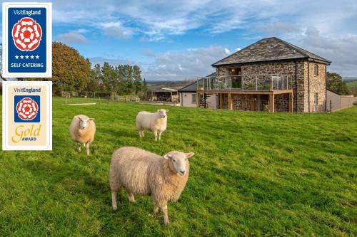 B&B Broadwoodwidger - 18th century renovated barn in beautiful Devon countryside - Bed and Breakfast Broadwoodwidger