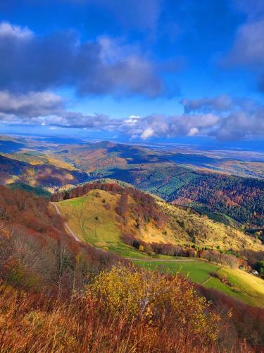 Le Panorama du Murat Mulhouse Riedisheim