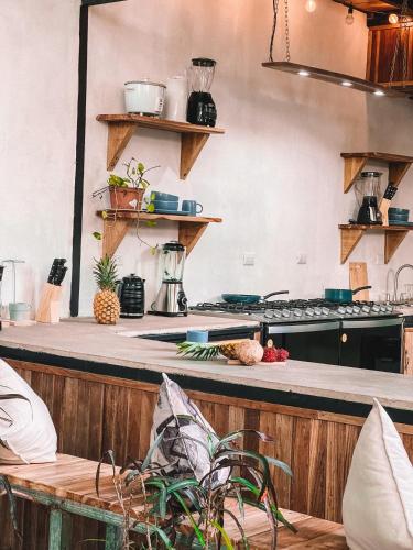 El Gato Rojas Surf Hostel in Santa Teresa