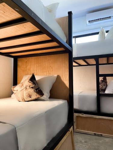 El Gato Rojas Surf Hostel in Santa Teresa