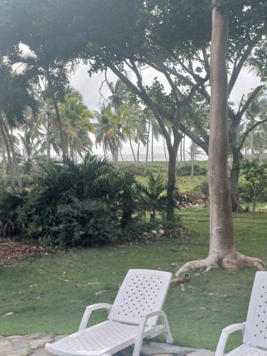 Mangobich in El Frances