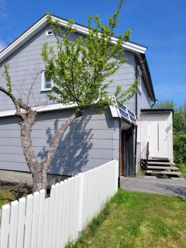 Comfortable zone in Honefoss