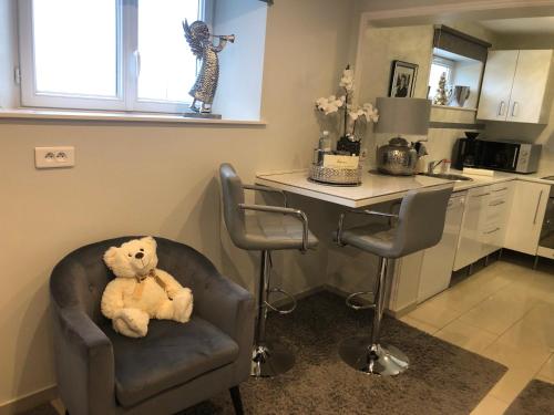 Appartement -Villa ROYAL Hélène (Appartement -Villa ROYAL Helene) in Salmbach