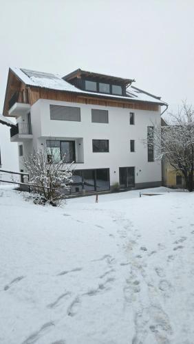 Apartment with Lake View