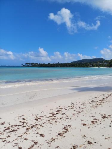 Mangobich in El Frances