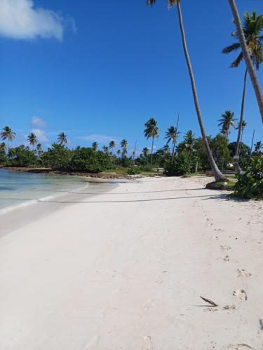 Mangobich in El Frances