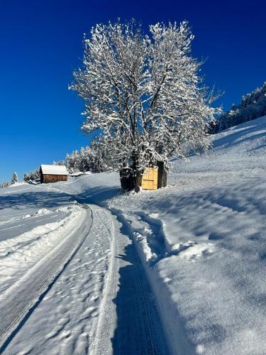 Apartment - Über den Wolken (Apartment - Uber den Wolken) in ลาเทิร์นส