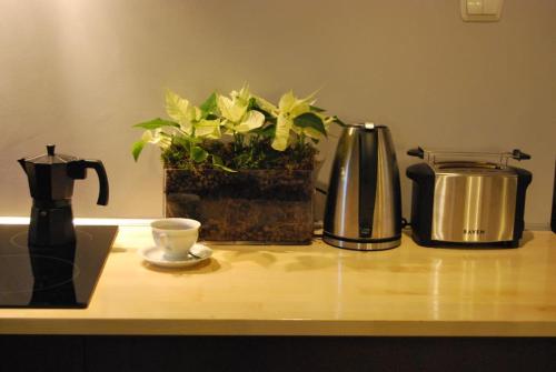 Spacious apartment in green district. in Zalesie