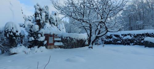 Agat, Ustroń (foto 5)