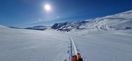 A Modern Home in Nature's Embrace, Tromsø (photo 2)
