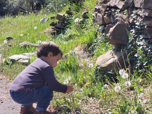 Trocito de Paraíso en la Sierra Espadán