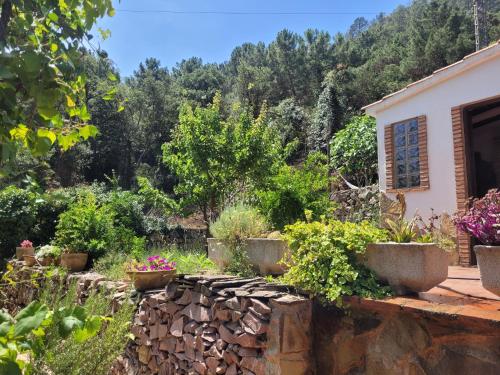Kert, Trocito de Paraíso en la Sierra Espadán (Trocito de Paraiso en la Sierra Espadan) in Eslida