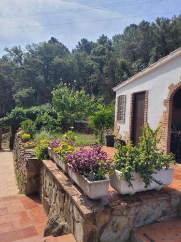 Kert, Trocito de Paraíso en la Sierra Espadán (Trocito de Paraiso en la Sierra Espadan) in Eslida