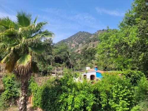 Trocito de Paraíso en la Sierra Espadán