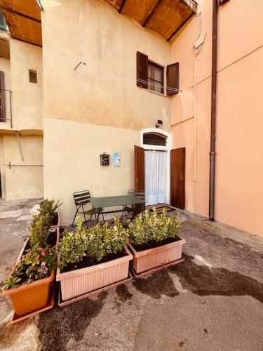La Casina BFF - Apartment - Magliano in Toscana