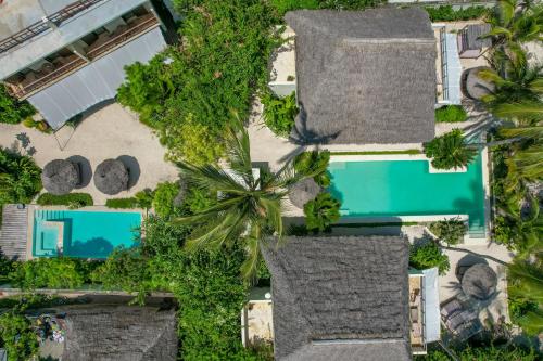 Jambiani Villas Room Type - Deluxe Apartment
