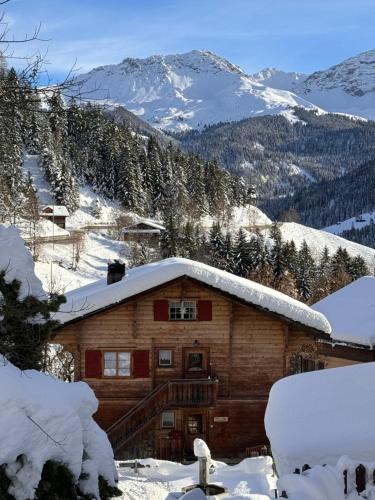 Bambi Lodge Ferienwohnung auf knapp 1400 m nahe Arosa