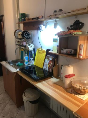 شقة مطلة على الجبل Apartament 3 POKOJOWY Aneks KUCHENNY 3 łazienki pobyt na termach dla 2os, gratis, Zakopane (photo 10)