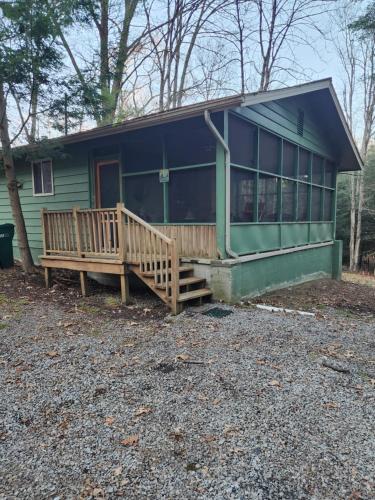 . The White Conifer Cabin