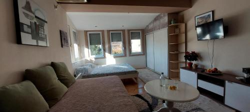 HRISTIJAN APARTMENT in the city center