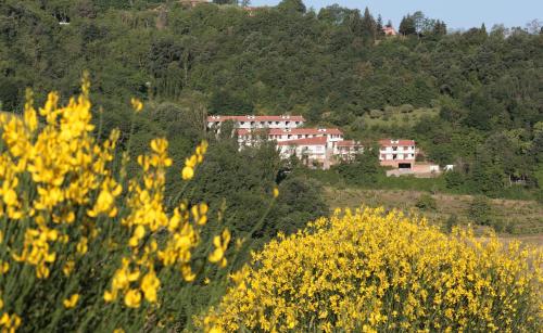 Residence Città Ideale - main image