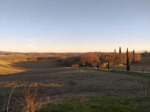  Azienda Agricola Baldini Ferdinando in Montaperti