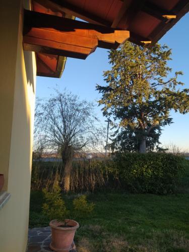  Azienda Agricola Baldini Ferdinando in Montaperti