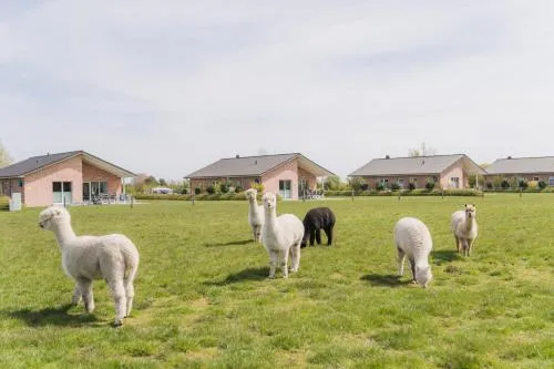 Büdlfarm - Der Familien-Erlebnishof in Strandnähe in Fehmarn, Deutschland