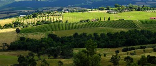 Poggio la Luna la casa nel vigneto