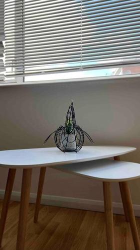 Charming 2Bedroom Retreat in Great Barr/Hamsted, Birmingham (fotografie 9)